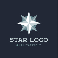 Star Polaris sharp white flat style lights twinkle quality mark logo icon modern