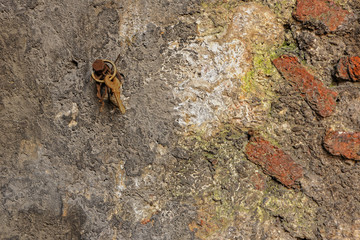 Rusty metal and old wooden backgrounds