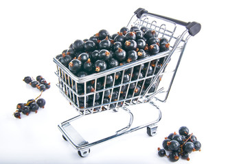 Mini shopping cart with blackcurrants
