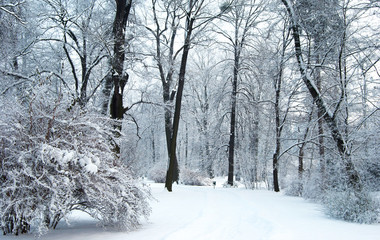 Castle Park in Winter Season
