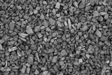 Coal