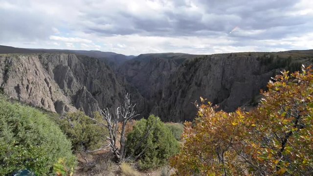 Fall Colors at Tomichi Point view of layers of cliffs at Black Canyon of the Gunnison 
