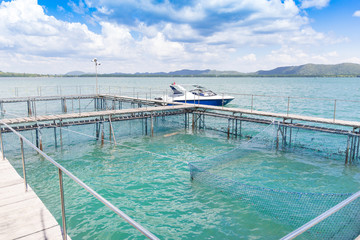 The coop for feeding fish in east of Thailand sea.