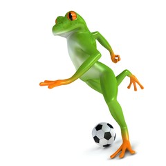 Tropical sport frog