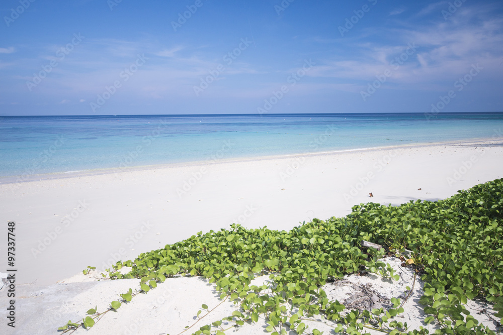 Wall mural tropical beach with blue sky and calm blue sea surf