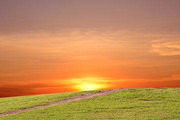 Naklejka na ściany i meble Green Field and Beautiful Sunset