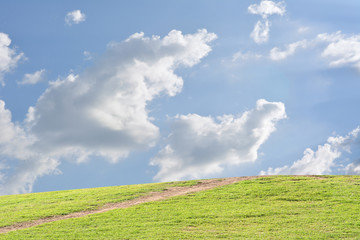 Green field under blue clouds sky. Beauty nature background