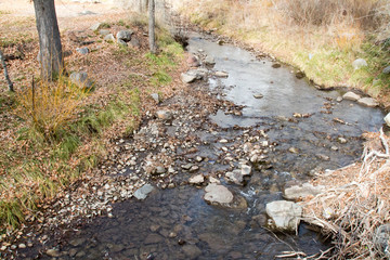 Small and shallow stream with rocks surrounded by dry plants