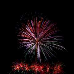 Colorful fireworks light on the sky