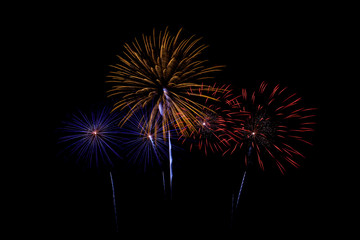 Colorful fireworks light on the sky