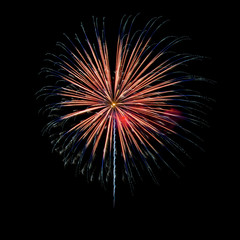 Colorful fireworks light on the sky