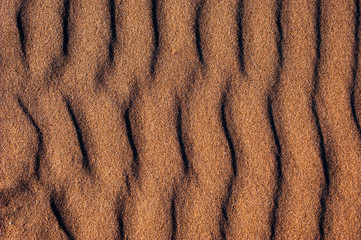 waves on rippled sand surface of a beach in sunset light
