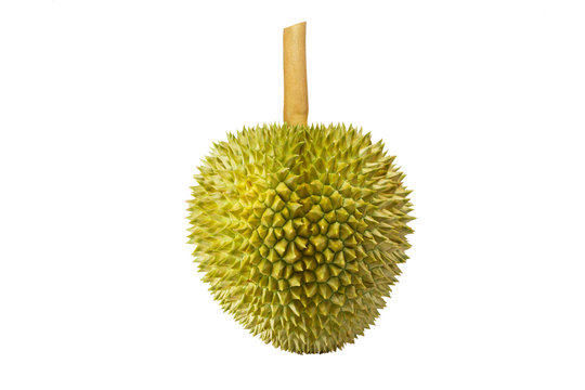 Durian isolated on white background.