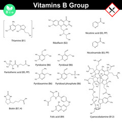 Vitamins of b group