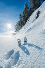 Winter landscape on lakeside