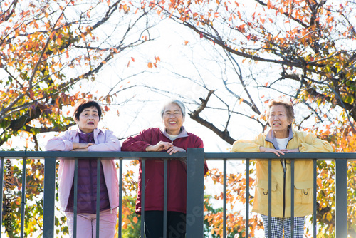 紅葉を見ている日本人高齢者の3人 Wall Mural Wallpaper Murals Beeboys
