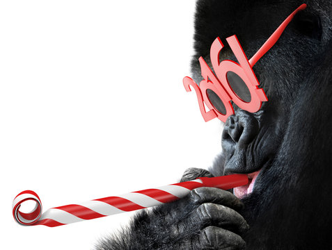 Funny gorilla with noisemaker and 2016 glasses for Year of the Monkey Chinese zodiac