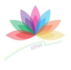 colorful flower vector on white background