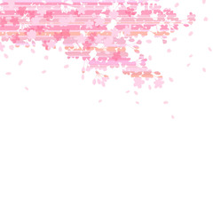 桜　ボーダーテクスチャ