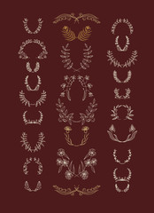 Set of symmetrical floral graphic design elements.