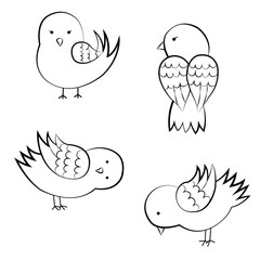 Sparrows painted black outline on white
