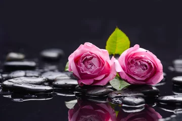 Gordijnen Still life with two pink rose and wet stones © Mee Ting