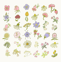 Collection of hand drawn flowers. Elements for your design.  Vector illustration.