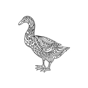 Duck zentangle coloring page 