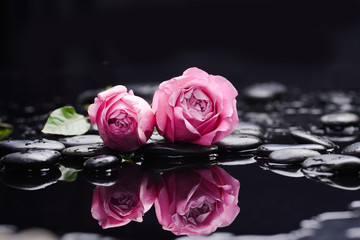 Still life with pink rose and wet stones