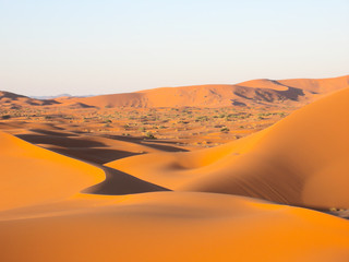 Sand dunes in the desert
