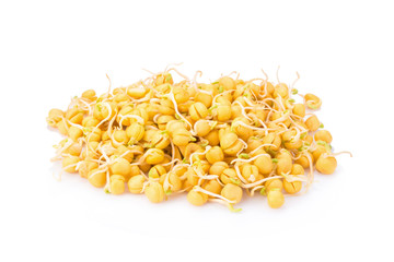 Snow Pea Sprouts on White Background