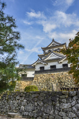 Fototapeta premium 彦根城秋景色