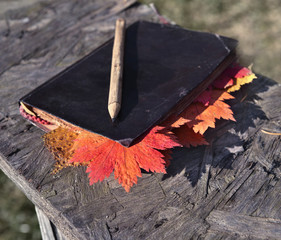 Memory book with fallen leaves and pencil