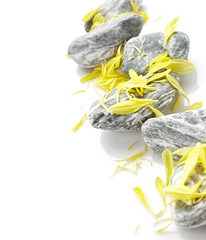 Stones with flower petals