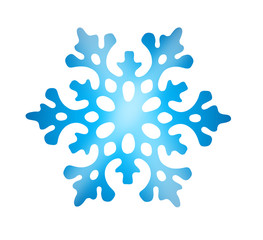 Blauer Schneestern
