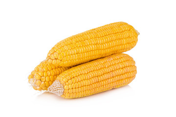 Corn on white background