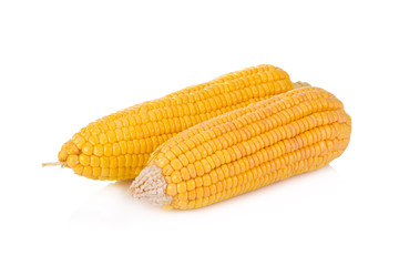 Corn on white background