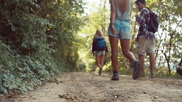 Handheld shot of hikers walking in the forest. Shot in slow motion
