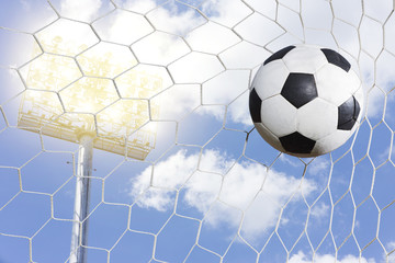 soccer ball in goal net