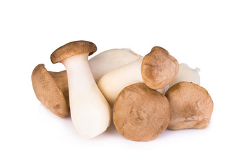 King Oyster mushroom on white backgroud.