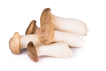 King Oyster mushroom on white backgroud.