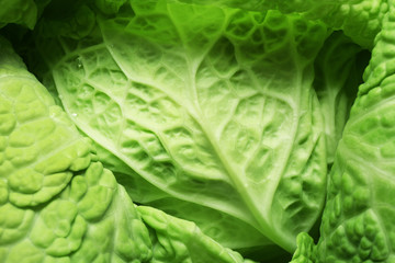 Fototapeta na wymiar Leaf of savoy cabbage background, macro