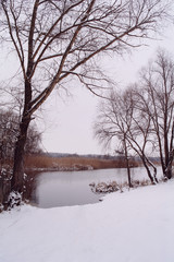 Winter of the river