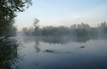 Morning landscape with fog on the river