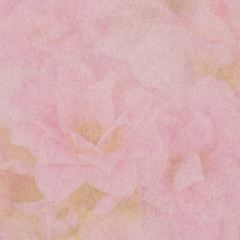 Fototapeta premium Grunge paper texture or background with flower pattern.