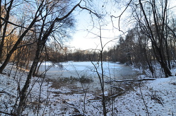 Пруд в усадьбе Быково