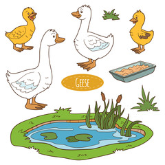 Obraz na płótnie Canvas Color set of cute farm animals and objects, vector goose family
