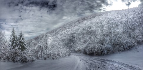 Snow panorama