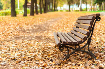 Скамейка в осеннем парке, усыпанном опавшими листьями.