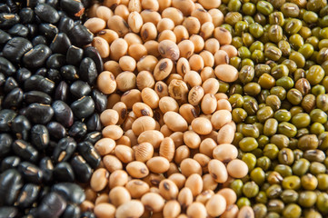 Multi pulses background texture, background pattern